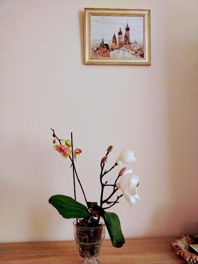 Piast Apartament คราคูฟ ภายนอก รูปภาพ
